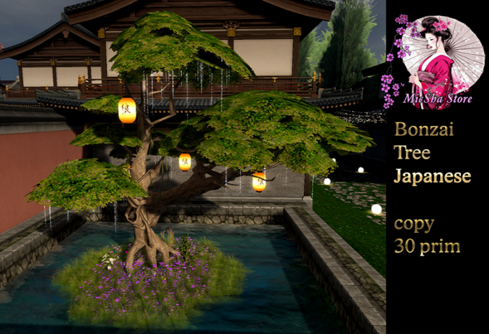 MICSHA-BONZAI TREE JAPANESE