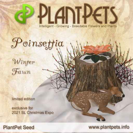 SUMMER SALE PlantPet Seed [Poinsettia *Winter Fawn*] - LIMITED EDITION - free breeding - no extra costs