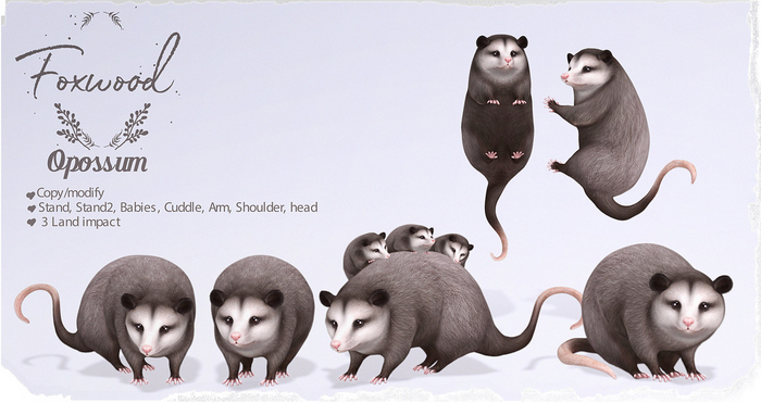 Foxwood - Opossum
