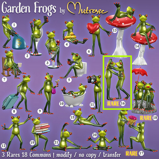 16. Mutresse-Garden Frogs RARE
