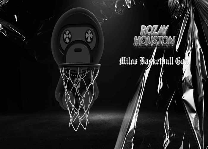 RozayHouston-Milos Cross Basketball Goal