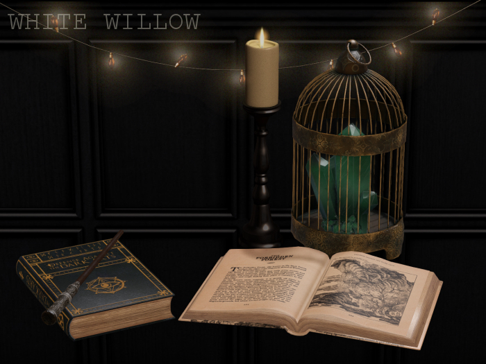 White Willow. Wizarding Studies  