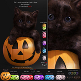 *[BB] Pumpkin Candy Hidden Kitten 2 in 1 ALL MENU RARE