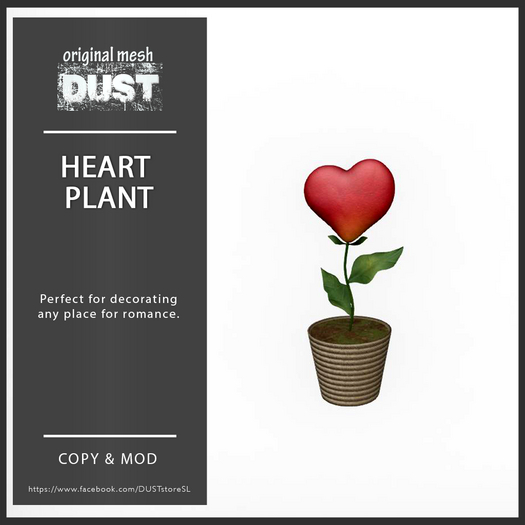 DUST: Heart Plant in Pot