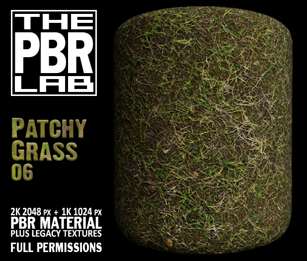 The PBR Lab - Patchy Grass 06