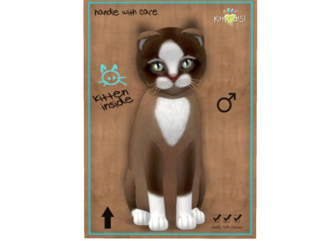 KittyCatS Box - 9 T - M - Chateau Cat - Toffee Caramel