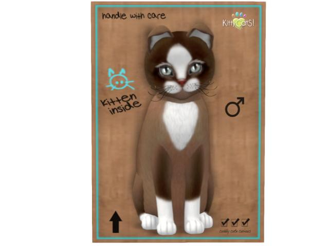 KittyCatS Box - 9T - M - Chateau Cat - Toffee Caramel - GM-TF-B