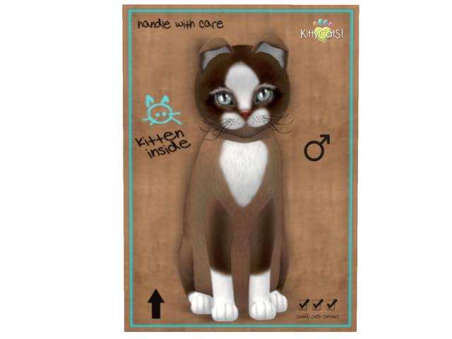 KittyCatS Box - 9T - M - Chateau Cat - Toffee Caramel