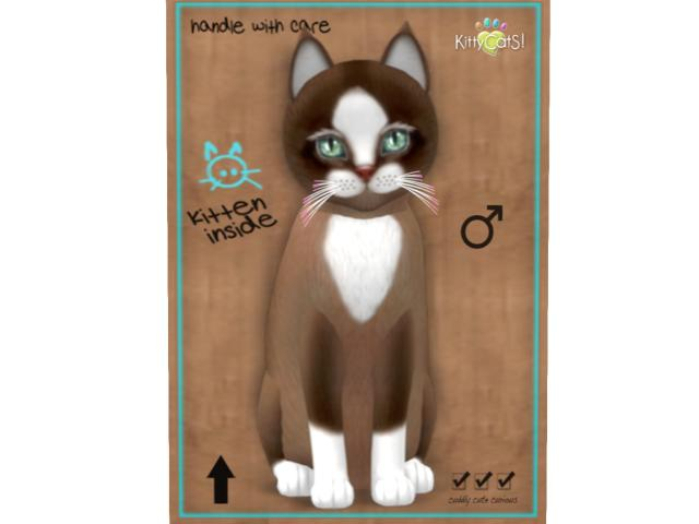 KittyCatS Box - 9T - M - Chateau Cat - Toffee Caramel