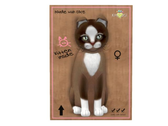 KittyCatS Box - 9 T - F - Chateau Cat - Toffee Caramel