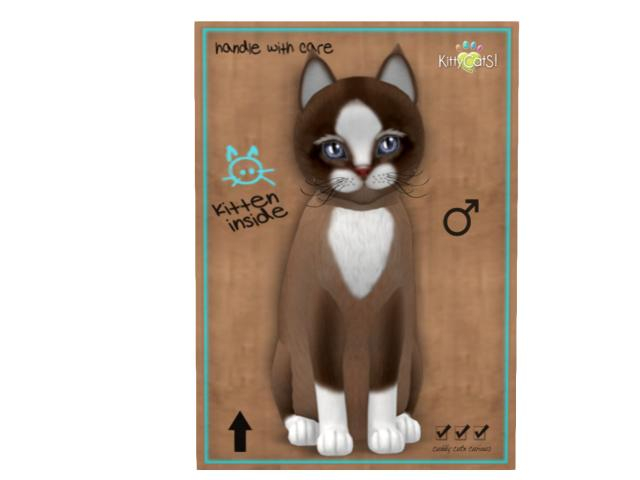 KittyCatS Box - 9T - M - Chateau Cat - Toffee Caramel