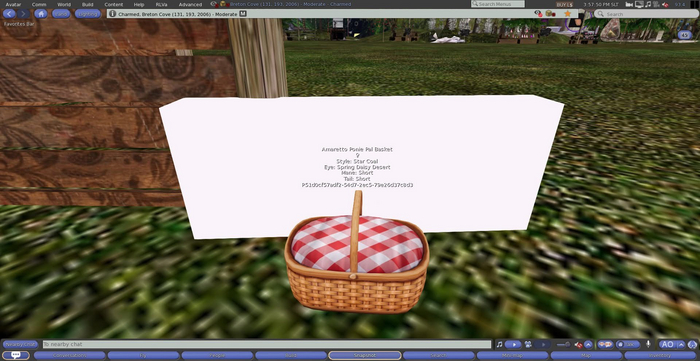Amaretto Ponie Pal Basket