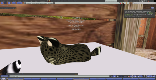 Stray Cats Kitten - 5T Cheetah (F)