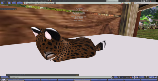 Stray Cats Kitten - 3T Cheetah (M)