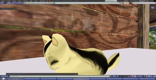 Stray Cats Kitten - 3T Skunk (M)