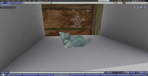 Stray Cats Kitten - 8TOpalLion (M)