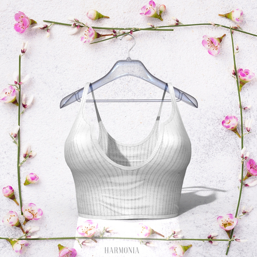 Petite Top