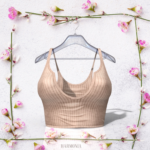 Petite Top