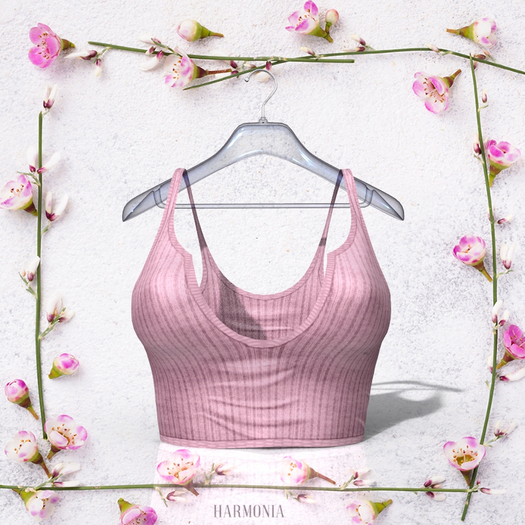 Petite Top
