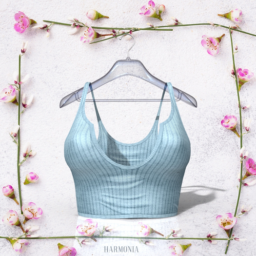 Petite Top