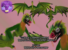~:;Butterfly Butter:;~ Black Cheeked Lovebird Wyvern