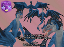 ~:;Butterfly Butter:;~ Dutch Blue Lovebird Wyvern