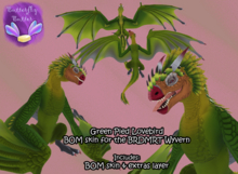 ~:;Butterfly Butter:;~ Green Pied Lovebird Wyvern