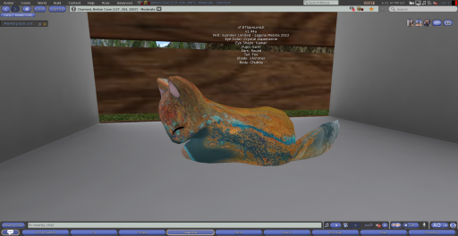 Stray Cats Kitten - 8TSumLimLE (M)