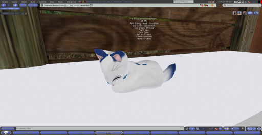 Stray Cats Kitten - 8TSapphireCandyheart (F)