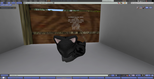 Stray Cats Kitten - 8TBlackClassTab 33EOG (F)