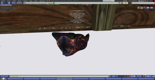 Stray Cats Kitten - 8TBlackOpalBengal (F)