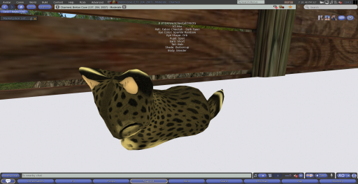 Stray Cats Kitten - 8TDKFawnCheetah74EOG (F)