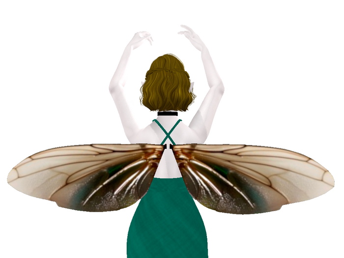 Beetle Wings