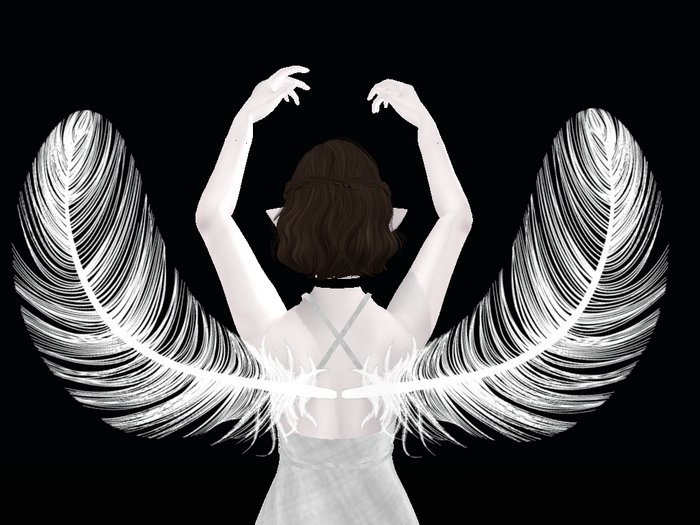 Feather Wings Freebie
