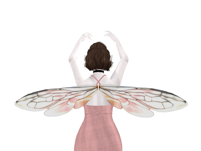 Long Bee Wings