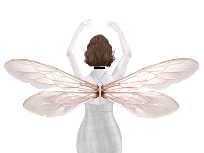 Long Double Bee Wings