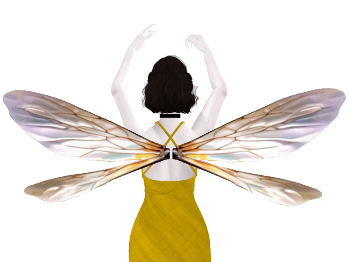 Long Narrow Bee Wings