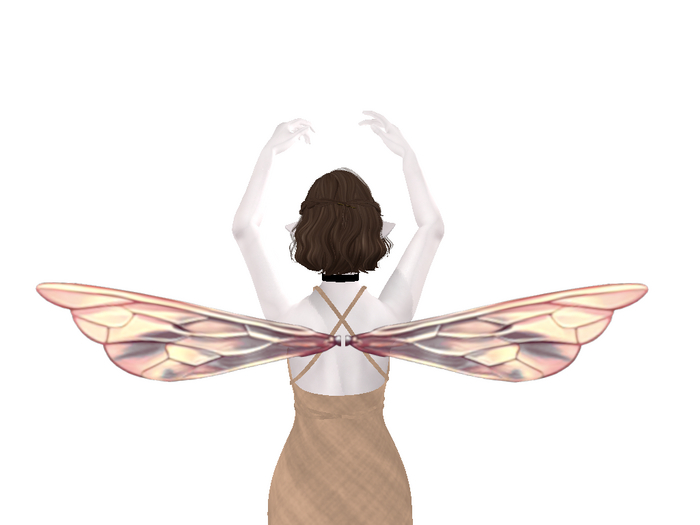 Long Peach Bee Wings