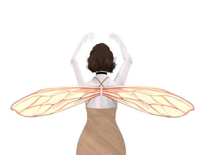 Pink Bee Wings