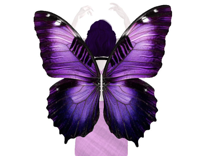 Violet Butterfly Wings