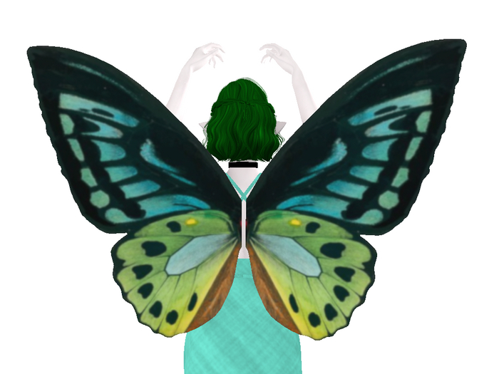 Watercolor Butterfly Wings