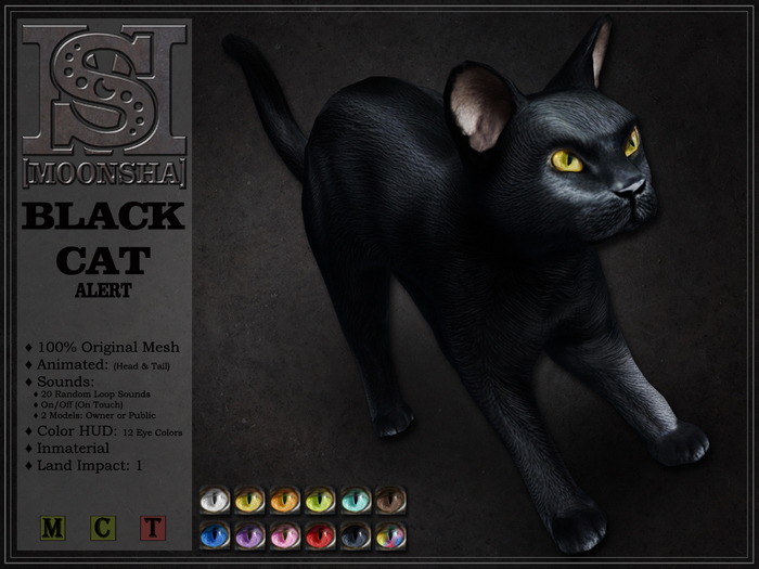 [MoonSha] Black Cat - Alert