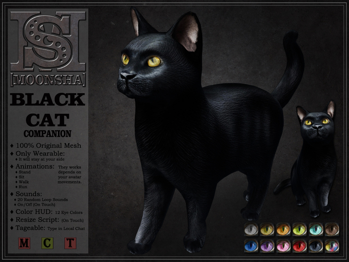 [MoonSha] Black Cat - Companion
