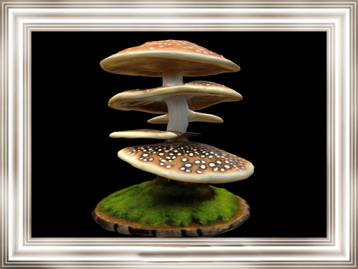 HB: Mushroom Tall Stack prop FULL PERM