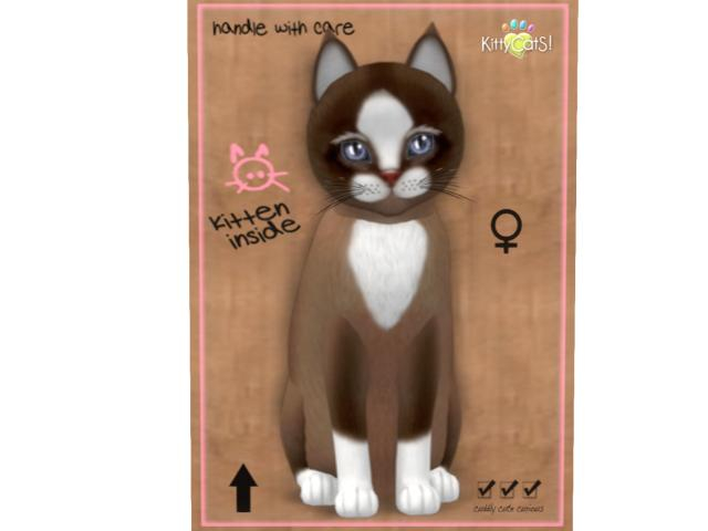 KittyCatS Box - 9T - F - Chateau Cat - Toffee Caramel