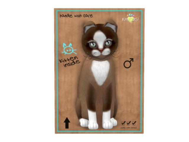 KittyCatS Box - 9 T - M - Chateau Cat - Toffee Caramel