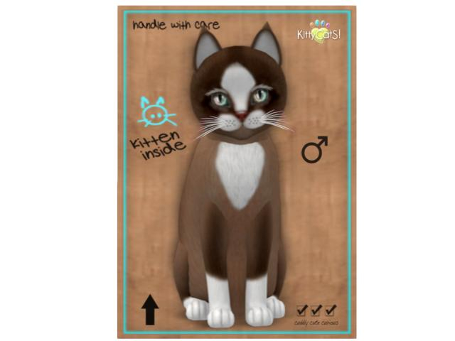 KittyCatS Box - 9T - M - Chateau Cat - Toffee Caramel
