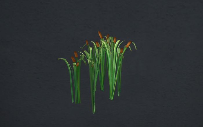 Cattails