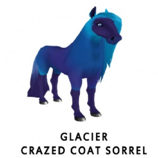 Glacier Crazed Coat  M