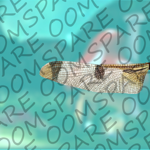 Full Perm Brown Dragonfly wings freebie Texture